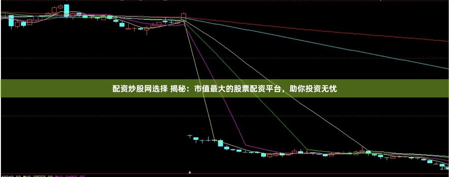 配资炒股网选择 揭秘：市值最大的股票配资平台，助你投资无忧