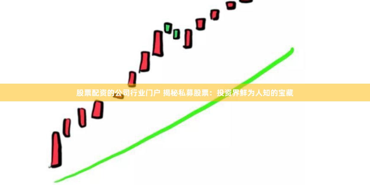 股票配资的公司行业门户 揭秘私募股票：投资界鲜为人知的宝藏