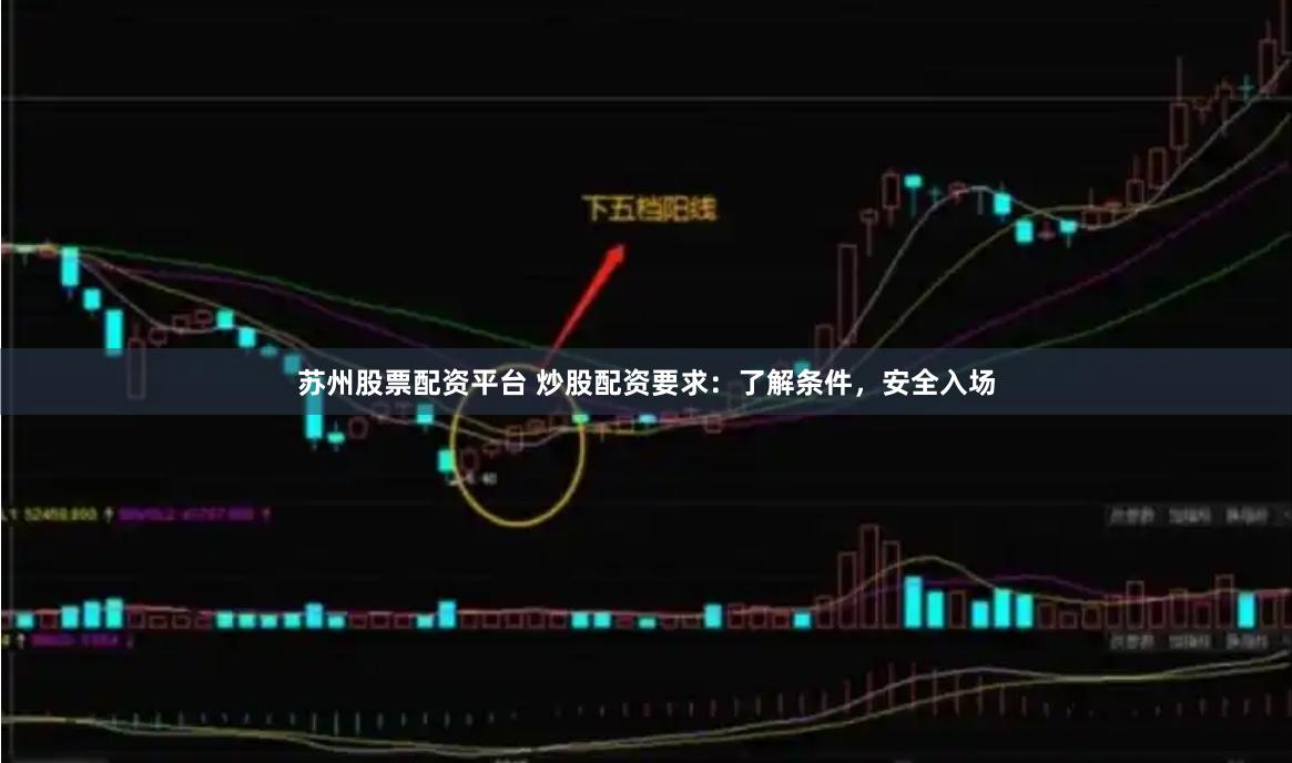 苏州股票配资平台 炒股配资要求：了解条件，安全入场
