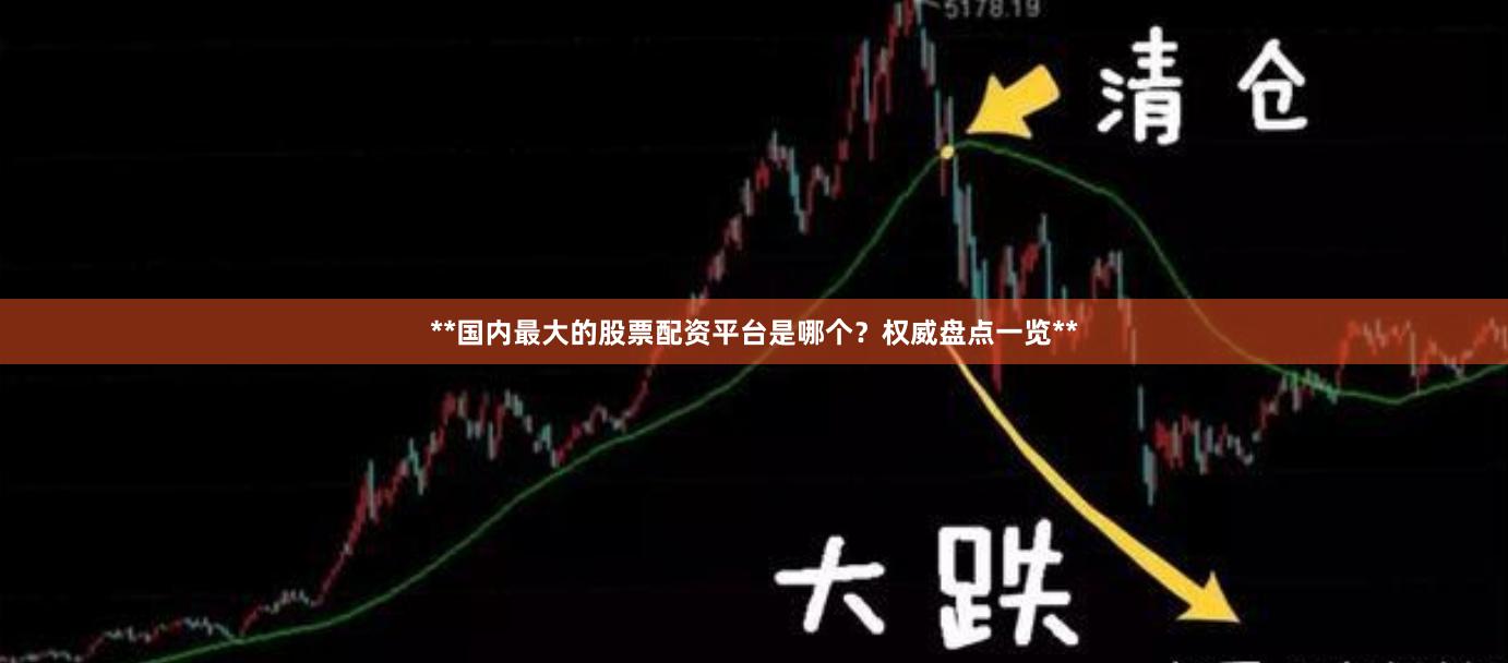 **国内最大的股票配资平台是哪个？权威盘点一览**